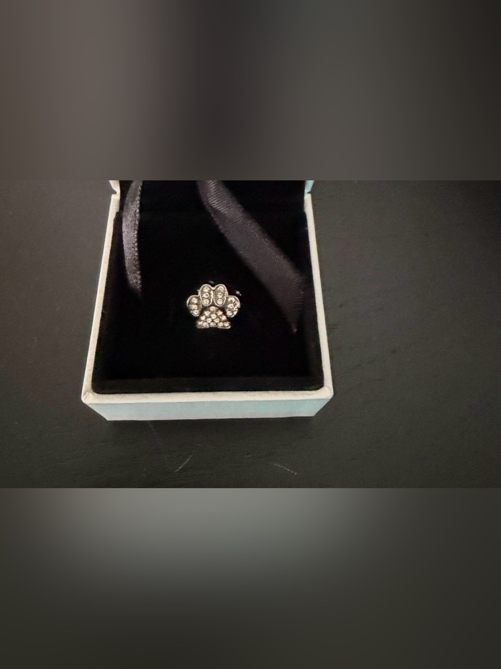 Silver Paw Print Charm with Sparkling Clear Stones